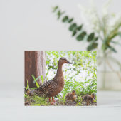 Mallard & Ducklings by Shirley Taylor Briefkaart (Staand voorkant)