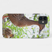 Mallard & Ducklings by Shirley Taylor Case-Mate iPhone Case (Achterkant (horizontaal))