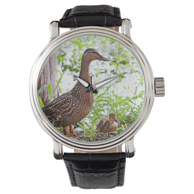 Mallard & Ducklings by Shirley Taylor Horloge (Voorkant)