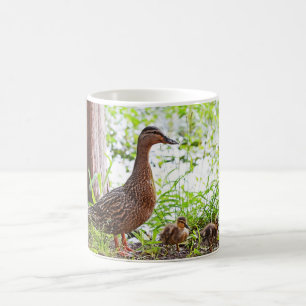 Mallard & Ducklings by Shirley Taylor Koffiemok