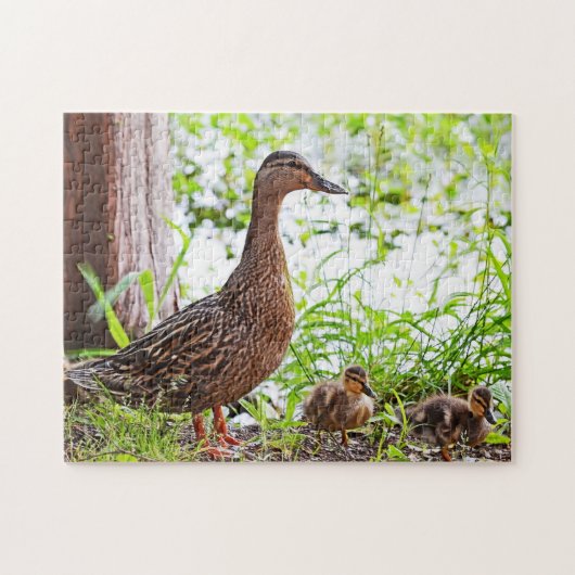 Mallard & Ducklings by Shirley Taylor Legpuzzel (Horizontaal)