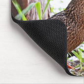 Mallard & Ducklings by Shirley Taylor Muismat (Hoek)