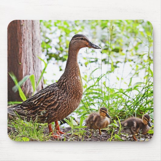 Mallard & Ducklings by Shirley Taylor Muismat (Voorkant)