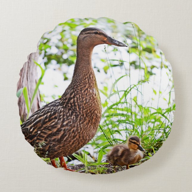 Mallard & Ducklings by Shirley Taylor Rond Kussen (Voorkant)