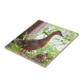Mallard & Ducklings by Shirley Taylor Tegeltje (Zijkant)