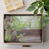 Mallard & Ducklings by Shirley Taylor Tissuepapier (Geschenk)