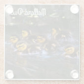 Mallard Ducklings Glazen Onderzetter (Achterkant)