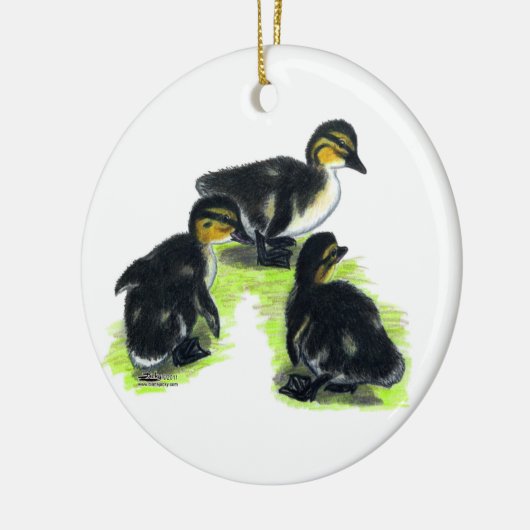 Mallard Ducklings Keramisch Ornament (Links)
