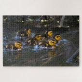 Mallard Ducklings Legpuzzel (Horizontaal)