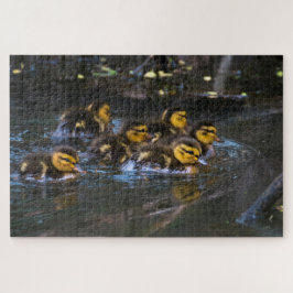 Mallard Ducklings Legpuzzel