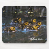 Mallard Ducklings Muismat (Voorkant)