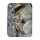 Mallard Ducklings Snuggling! Magneet (Verticaal)