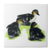 Mallard Ducklings Tegeltje (Voorkant)