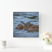 Mallard Ducklings Vierkante Klok (Huis)