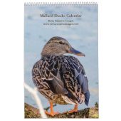Mallard Ducks 2026 Kalender (Hoes)