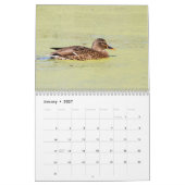 Mallard Ducks 2026 Kalender (Jan 2027)