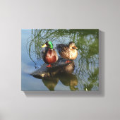 Mallard Ducks #2 Canvas Afdruk (Voorkant)