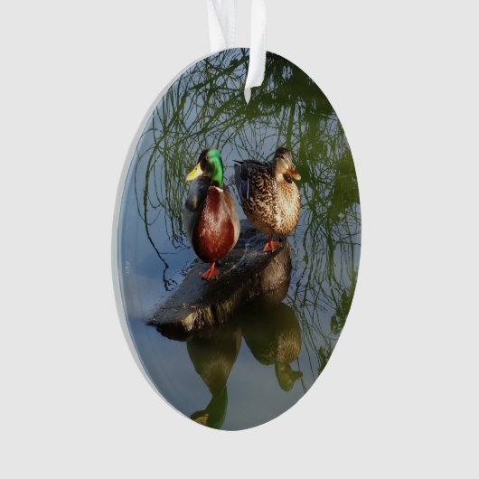 Mallard Ducks #2 Ornament (voorkant)