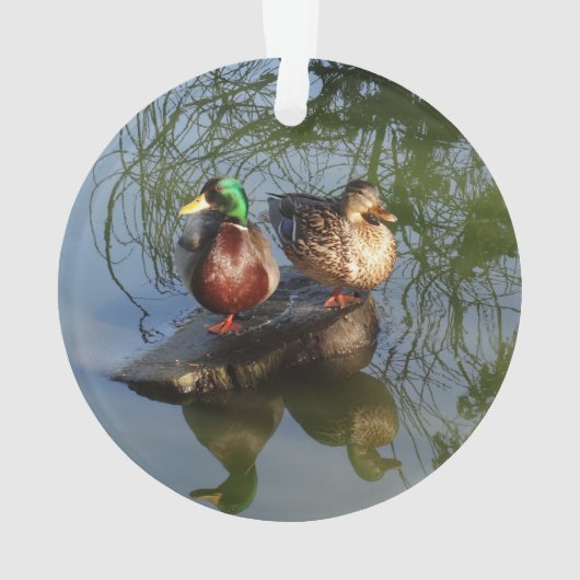 Mallard Ducks #2 Ornament (achterkant)