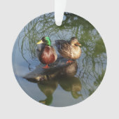 Mallard Ducks #2 Ornament (voorkant)