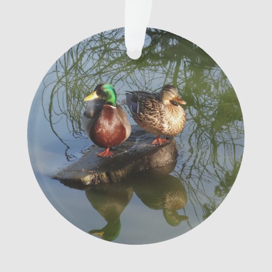 Mallard Ducks #2 Ornament (voorkant)