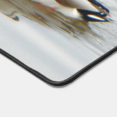 Mallard Ducks Bureaumat (Hoek)