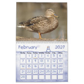 Mallard Ducks Calendar Kalender (Feb 2027)