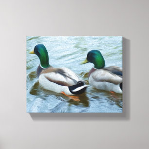 Mallard Ducks Canvas Afdruk
