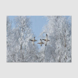 Mallard Ducks Flying Snow Foto Tissuepapier