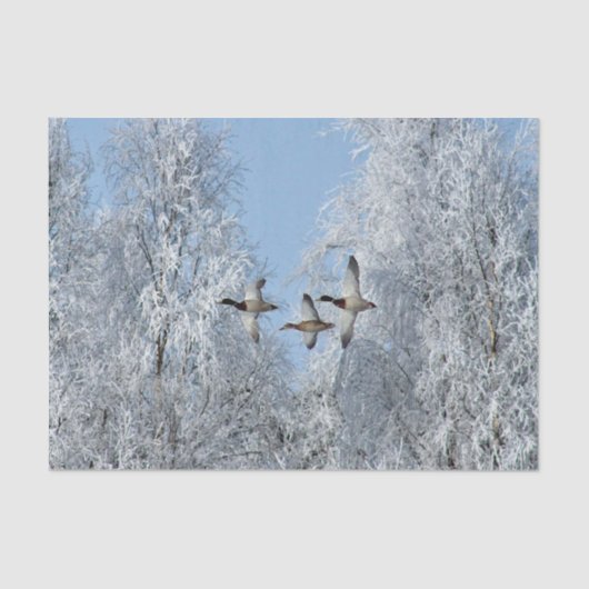 Mallard Ducks Flying Snow Foto Tissuepapier (Voorkant)