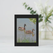 Mallard Ducks Foto Briefkaart (Staand voorkant)