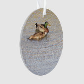 Mallard Ducks Foto Ornament (voorkant)