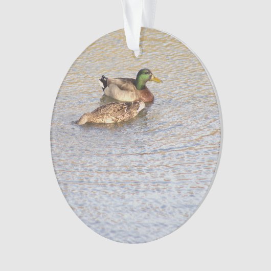 Mallard Ducks Foto Ornament (voorkant)