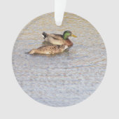 Mallard Ducks Foto Ornament (voorkant)