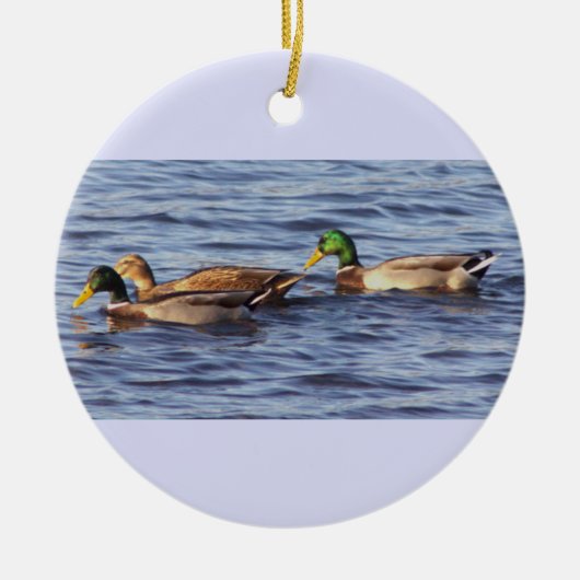 Mallard Ducks Foto Ornament (Voorkant)