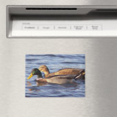 Mallard Ducks-fotomagneet Magneet (Insitu (Vaatwasser))