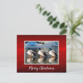 Mallard Ducks Ice Briefkaart voor Kerstmis (Staand voorkant)