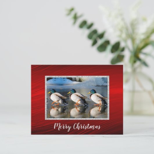 Mallard Ducks Ice Briefkaart voor Kerstmis (Staand voorkant)