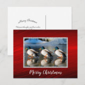 Mallard Ducks Ice Briefkaart voor Kerstmis (Voorkant / Achterkant)