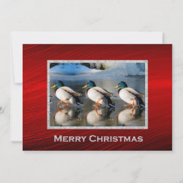 Mallard Ducks Ice Foto Kerst Flat Feestdagenkaart