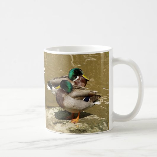 Mallard Ducks, ik hou van papa Mok (Rechts)