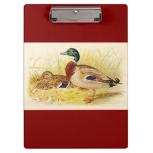 Mallard Ducks-klembord