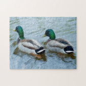 Mallard Ducks Legpuzzel (Horizontaal)