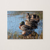 Mallard Ducks Legpuzzel (Horizontaal)