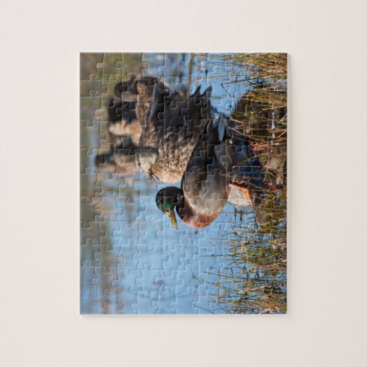 Mallard Ducks Legpuzzel (Verticaal)