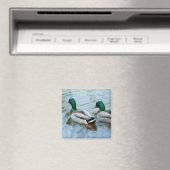 Mallard Ducks Magneet (Insitu (Vaatwasser))