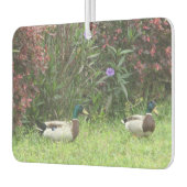 Mallard Ducks Mannelijk Luchtverfrisser (Links)