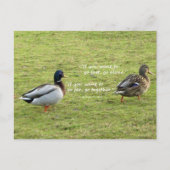 Mallard Ducks met African Proverb Briefkaart (Voorkant)