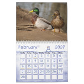 Mallard Ducks Natuur Agenda Kalender (Feb 2027)