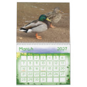 Mallard Ducks Natuur Agenda Kalender (Mar 2027)